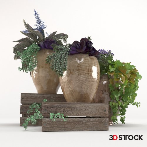Plant Set 3