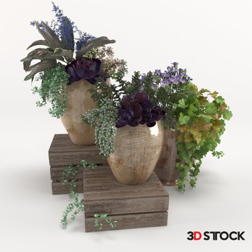 Plant Set 3