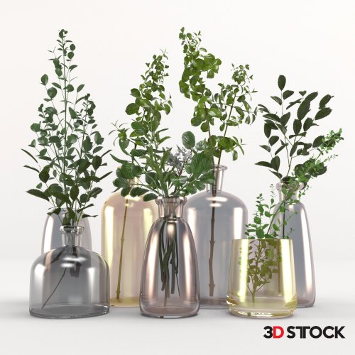 Plant Set 4