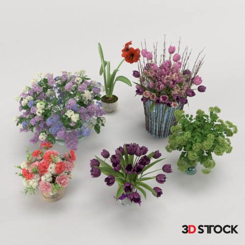 Plant Set 6