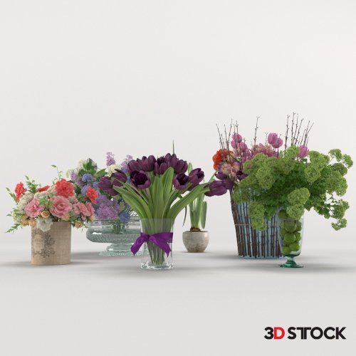 Plant Set 6