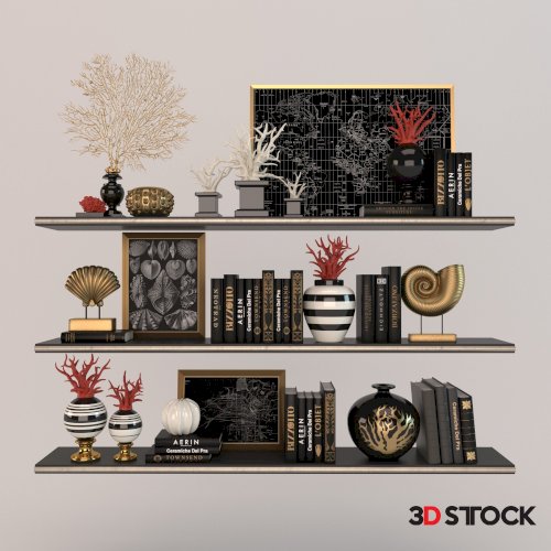 Decorative Book Shelf